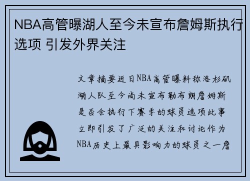 NBA高管曝湖人至今未宣布詹姆斯执行选项 引发外界关注
